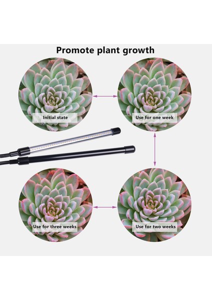 USB LED Kapalı Büyümek Işık, 40W Tam Spektrumlu Phyto Lambalar Güneş Işığı Beyaz Bitkiler Ev Hidroponik Etli Büyüme Kutusu (Yurt Dışından) fırsatları