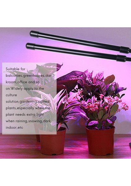 USB LED Kapalı Büyümek Işık, 40W Tam Spektrumlu Phyto Lambalar Güneş Işığı Beyaz Bitkiler Ev Hidroponik Etli Büyüme Kutusu (Yurt Dışından) indirimleri