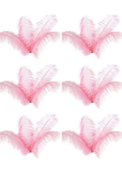 30 Adet Doğal Devekuşu Tüyleri Düğün Parti Dekorasyon Pembe 20-25 cm (Yurt Dışından)