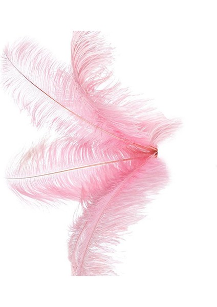 30 Adet Doğal Devekuşu Tüyleri Düğün Parti Dekorasyon Pembe 20-25 cm (Yurt Dışından) modelleri