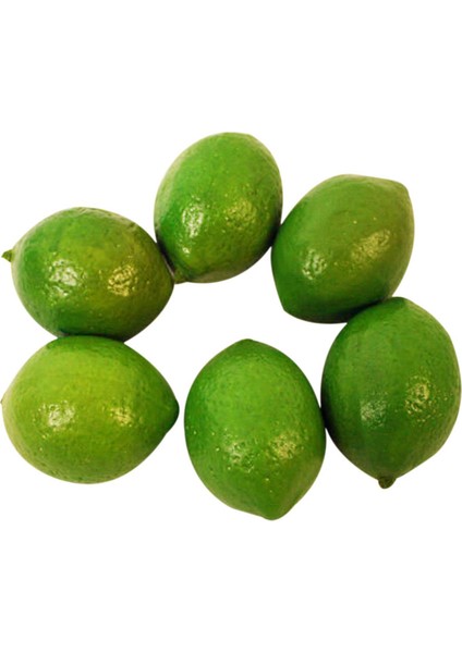 24 x Gerçekçi Gerçekçi Yapay Plastik Kireç Limon Meyve Gıda Sahte Ev Dekor (Yurt Dışından) fiyatları