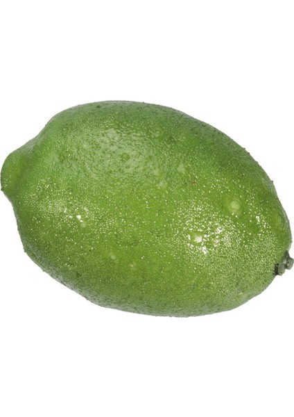 24 x Gerçekçi Gerçekçi Yapay Plastik Kireç Limon Meyve Gıda Sahte Ev Dekor (Yurt Dışından) modelleri