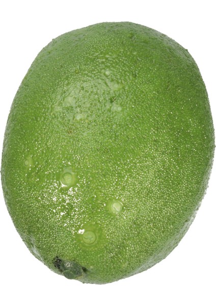 24 x Gerçekçi Gerçekçi Yapay Plastik Kireç Limon Meyve Gıda Sahte Ev Dekor (Yurt Dışından) fırsatları