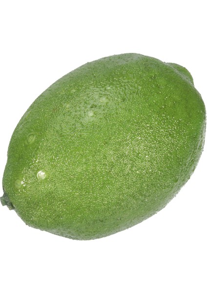 24 x Gerçekçi Gerçekçi Yapay Plastik Kireç Limon Meyve Gıda Sahte Ev Dekor (Yurt Dışından) indirimleri