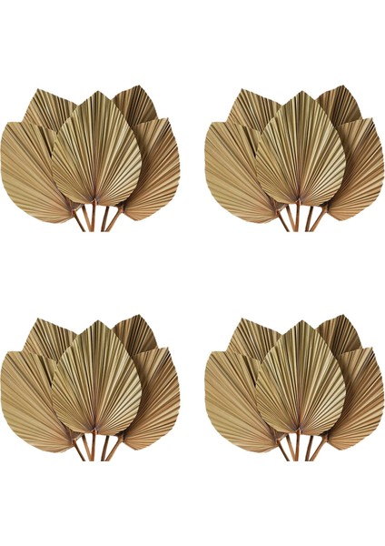 Kurutulmuş Palmiye Yaprakları Oda Dekoru 20 Parça - 18 Inç Hx 10 Inç W Güzel Bir Boho Görünüm Için Büyük Doğal Palmiye Yaprağı Dekoru (Yurt Dışından) fiyatları