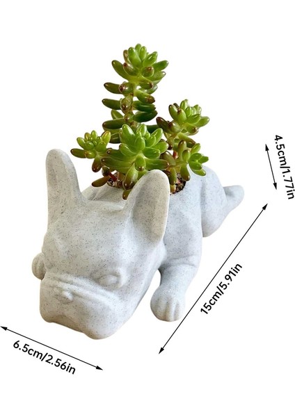 2 Adet Fransız Bulldog Şekli Reçine Etli Ekici Mini Yavru Bitkiler Ekici, Masaüstü Saksı Köpek Şekli Bonsai (Yurt Dışından)