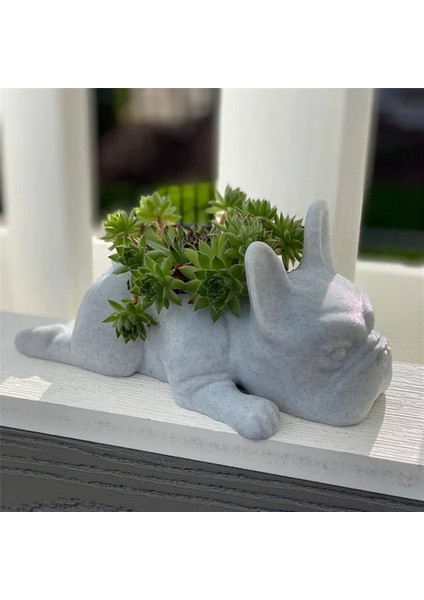 2 Adet Fransız Bulldog Şekli Reçine Etli Ekici Mini Yavru Bitkiler Ekici, Masaüstü Saksı Köpek Şekli Bonsai (Yurt Dışından) indirimleri