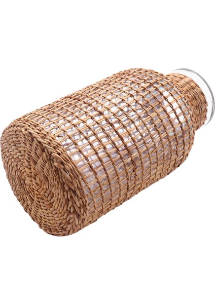 2x Saman Cam Çiçek Vazo Japon Saksı Iskandinav Sözleşmeli Yaratıcı Çiçek Sepeti Su Bitkilerine -L (Yurt Dışından) modelleri