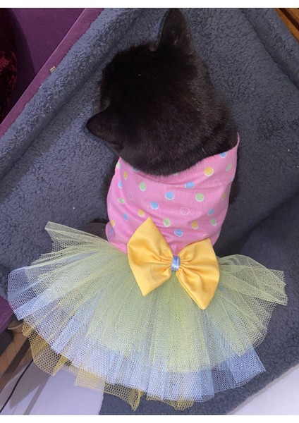 Renkli Puantiyeli Sarı Papyonlu Pembe Dişi Kedi Köpek Kıyafeti Elbisesi