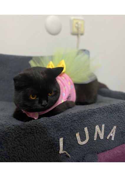 Renkli Puantiyeli Sarı Papyonlu Pembe Dişi Kedi Köpek Kıyafeti Elbisesi