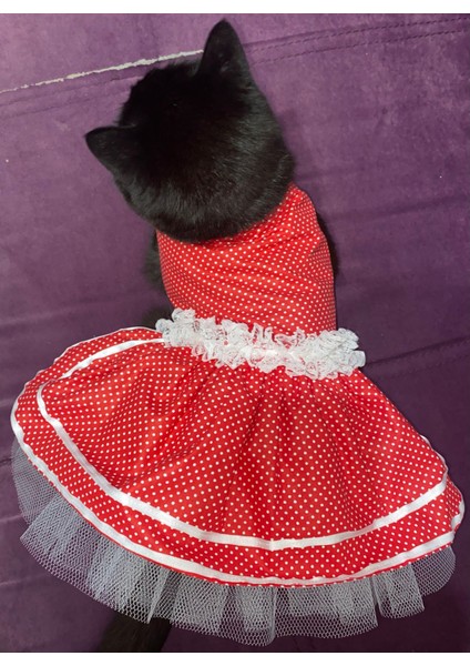 Beyaz Puantiyeli Kurdeleli Kırmızı Dişi Kedi Köpek Kıyafeti Elbisesi fiyatları