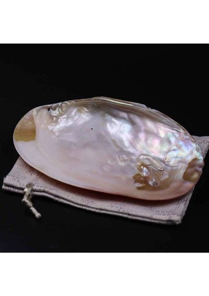 m FH Sedef Kabuk Içerisinde Çakra Taşlarından Doğal Taş Tamburlanmış/tımbıl Doğal Taş 7'li Set modelleri