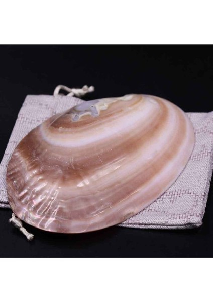 m FH Sedef Kabuk Içerisinde Çakra Taşlarından Doğal Taş Tamburlanmış/tımbıl Doğal Taş 7'li Set fırsatları