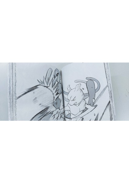 Pokemon Adventures Firered and Leafgreen Vol. 25 Manga - Hidenori Kusaka fırsatları
