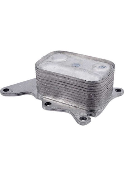 355775 Kale Oto Radyatör 355775 355775 Yağ Soğutucu C4 I C5 Iıı Ds4 Ds5 Jumpy Scudo C-Max Focus Iı 355775