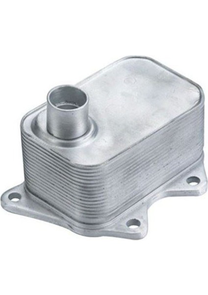 359001601760 359001601760 Yağ Soğutucusu Amarok-Beetle-Cc-Jetta-Passat-Scırocco-Sharan-A4-Q3-Octavia-Supe