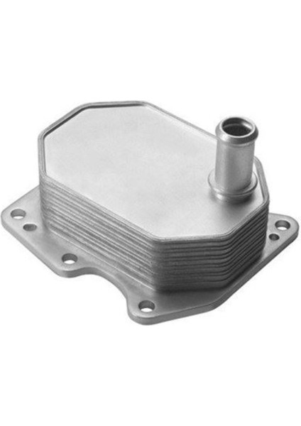 Magnetı Marellı 359001602190 Yağ Soğutucu Radyatör V184 2.4tdcı 01-06 V347 2.2tdcı 155 Ps 2.4tdcı 06-14 V363 2.2tdcı 155PS Uyumlu