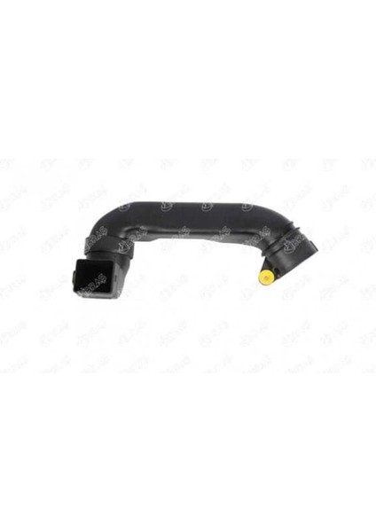 17643 17643 By Pass Hortumu 30561 Partner 206 307 406 607 806 Boxer Expert C4 C5 Berlingo Xsara Iı 2