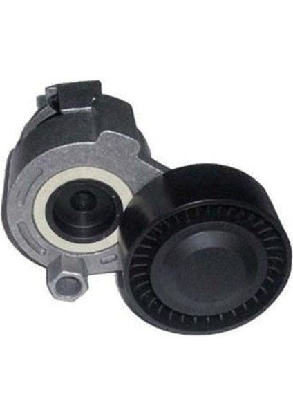 6PK1199S1 6PK1199S1 Alternatör Gergi Rulmanı Kıt-Kayış 6PK1199-25208486 Clıo Iı-Kng-Megane Iı-Modus-Micra