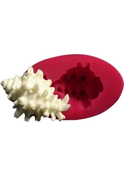 Silikon Kalıp - Deniz Kabuğu -1 (5,5*3,5cm)