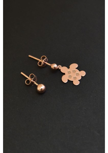 925 Ayar Gümüş Kaplama Kaplumbağa Model Çivili Kadın Top Küpe fiyatları