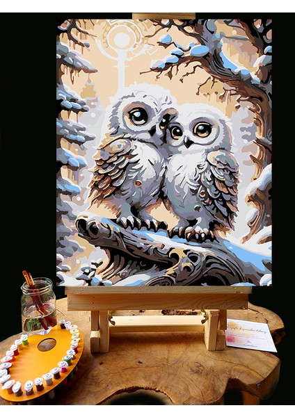 N1211 - Numaralı Boyama Seti - 40X50CM Kasnağa Gerili Ürün - Baykuşlar