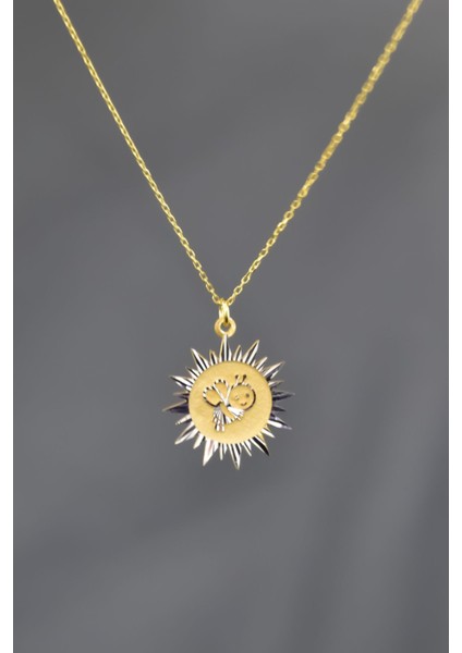 925 Ayar Gümüş Kaplama Arı Maya Kristal Kesim Güneş Plaka Kolye fırsatları