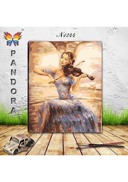 N1244 - Numaralı Boyama Seti - 40X50CM Kasnağa Gerili Ürün - Keman Çalan Kadın fiyatları