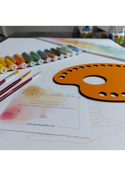 N1244 - Numaralı Boyama Seti - 40X50CM Kasnağa Gerili Ürün - Keman Çalan Kadın modelleri
