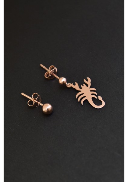 925 Ayar Gümüş Kaplama Akrep Model Çivili Kadın Top Küpe fiyatları