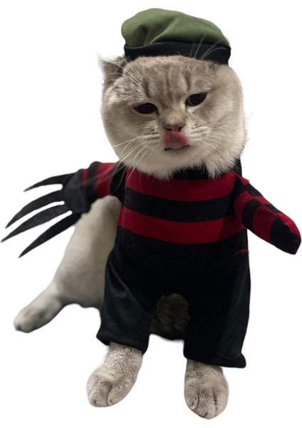 Elm Sokağı Kabusu Freddy Kruger Kedi Kostümü