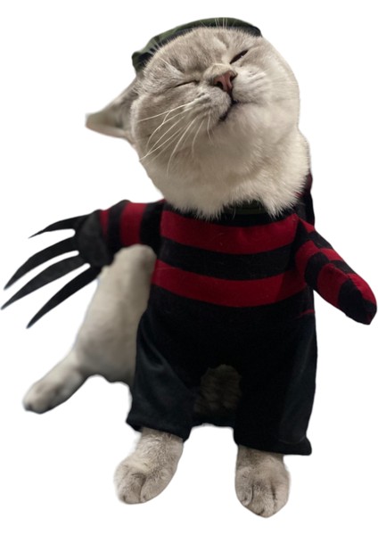 Elm Sokağı Kabusu Freddy Kruger Kedi Kostümü