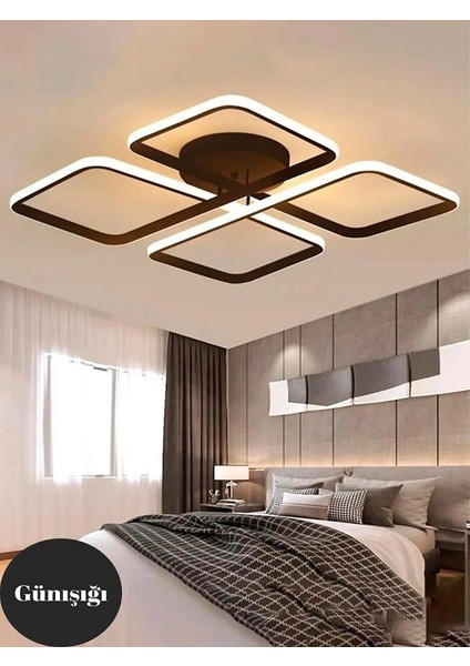 Zac Plafonyer Ledli Avize Modern Mutfak LED Salon Avize -(3 Renk Led)