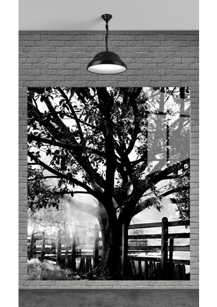 Muhteşem Siyah Ağaçlar Temperli Cam Üzerine Tablo Sevgilinize Yılbaşı Hediye