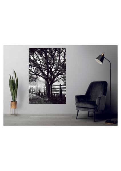 Muhteşem Siyah Ağaçlar Temperli Cam Üzerine Tablo Sevgilinize Yılbaşı Hediye fiyatları