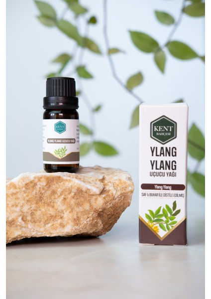 Ylang Ylang Uçucu Yağı 10 ml Saf Doğal Katkısız Seyreltilmemiş Ylang Ylang Essential Oil