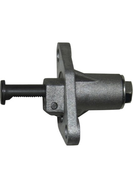 Egzantrik Zincir Ayar Vidası Rico