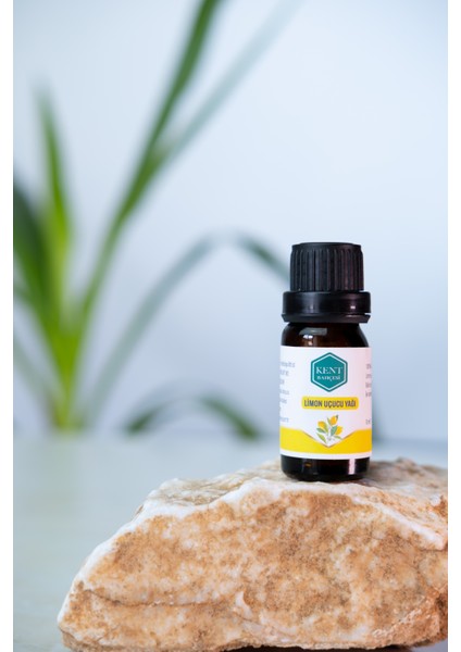 Limon Uçucu Yağı 10 ml Saf Doğal Katkısız Seyreltilmemiş Essential Oil