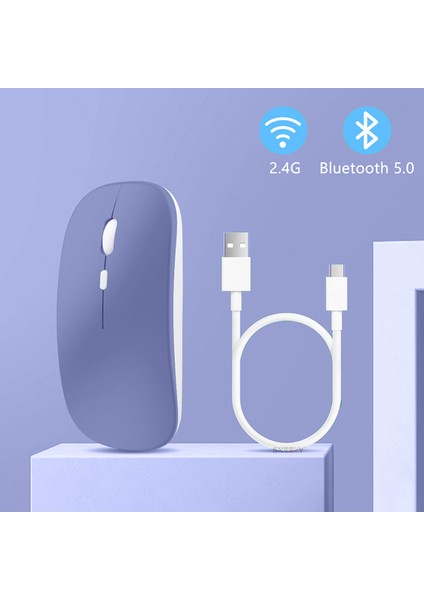 Apple Ipad Şarj Edilebilir Sessiz Mouse Bluetooth + 2.4Hz Wifi Kablosuz Mouse Fare