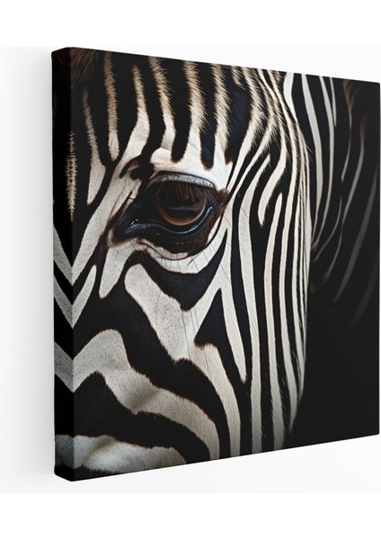 Zebra Kanvas Tablo Tablo - Majestic Zebra - Zebra, Duvar Dekorasyonu, Sığınak, Zebra, 30X30