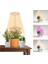 2x LED Büyümek Işık, Büyüyen Kapalı Bitkiler Için Halo Bitki Lambası, Otomatik Zamanlayıcı 4/8/12/18 Saat, Bonsai Succulents Küçük Bitkiler Için (Yurt Dışından) 5