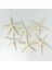 24PCS Beyaz Parmak Denizyıldızı 5-10CM Dekoratif Beş Parmak Denizyıldızı (Yurt Dışından) 2