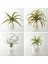 8 Paket Yapay Ananas Çim Hava Bitkileri Sahte Çiçekler Sahte Akın Tillandsia Bromeliads Ev Bahçe Dekor (Yurt Dışından) 4