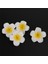 300 Adet Beyaz Köpük Hawaiian Frangipani Yapay Plumeria Çiçek Yaprakları Kap Saç Şapka Çelenk Dıy Düğün Dekorasyon 5 cm (Yurt Dışından) 3