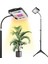 Standlı Grow Light, Iç Mekan Bitkileri Için Tam Spektrumlu LED Zemin Bitki Işığı, Açma/kapama Anahtarlı Grow Lamp Us Plug (Yurt Dışından) 4