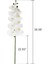 6 Adet 38 Inç Yapay Gerçek Iletişim Orkide Çiçekler 9 Kafaları Lateks Phalaenopsis Kaynaklanıyor Dıy Düğün Centerpieces, Mutfak (Yurt Dışından) 3