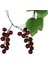 Ev Bahçe Dekorasyonu Için 4x Yapay Üzüm Asması Çelenk Meyvesi (Yurt Dışından) 5