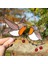 2x Tel Üzerinde Asılı Çok Renkli Kuşlar Yüksek Lekeli Akrilik Suncatcher Yaratıcı Pencere Paneli Ev Odası Dekor-Flaying Robin (Yurt Dışından) 5