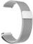 Amazfit Bip 3 Pro 20MM Için Mıknatıslı Hasır Metal Kordon-12 Gümüş 1