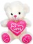 01000 Kalpli Peluş Ayı 30 cm 1